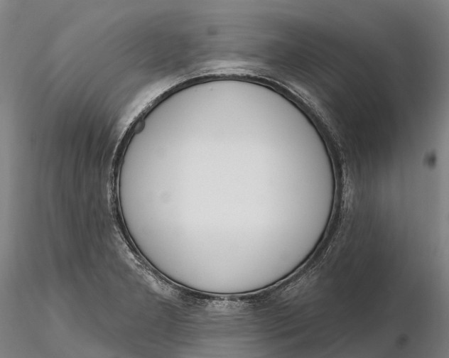 X0000115711277200912031520