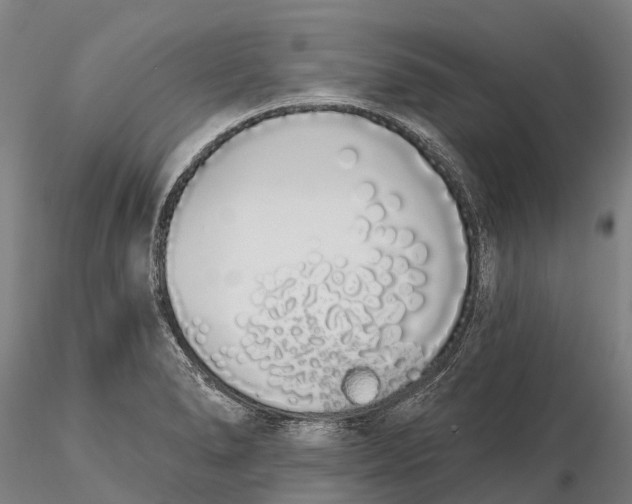 X0000115711278200912031520