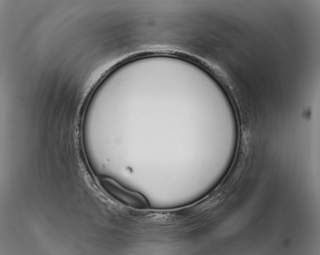 X0000115711279200912031520