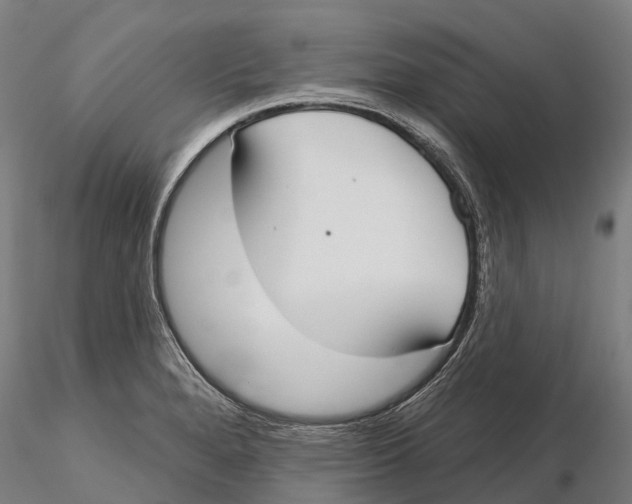 X0000115711280200912031520