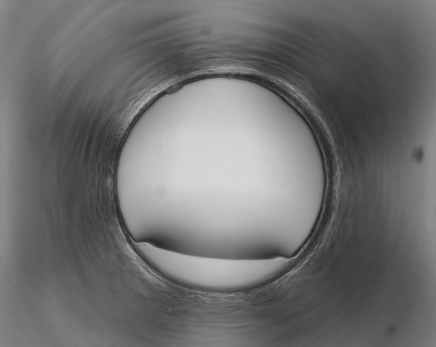 X0000115711281200912031520