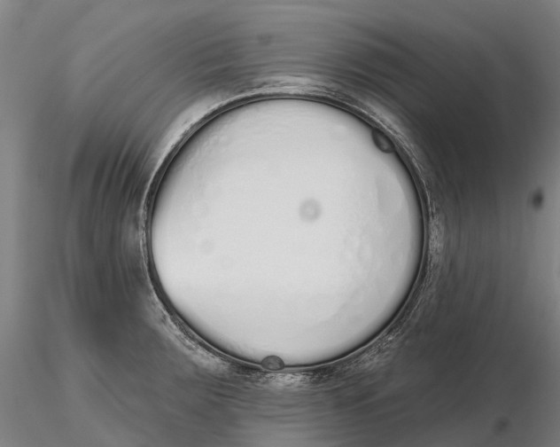 X0000115711283200912031520