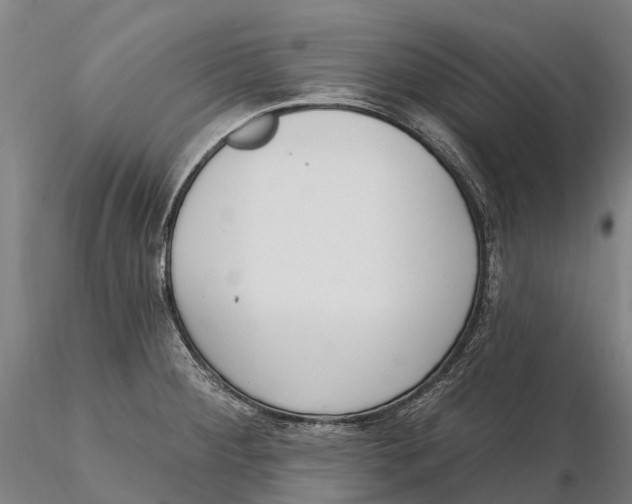 X0000115711284200912031520