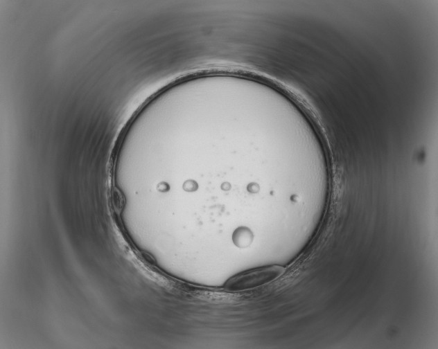 X0000115711287200912031520