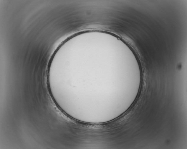 X0000115711288200912031520