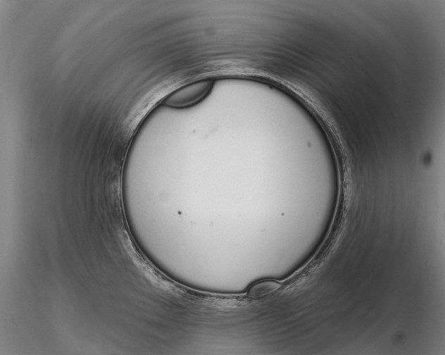 X0000115711289200912031520