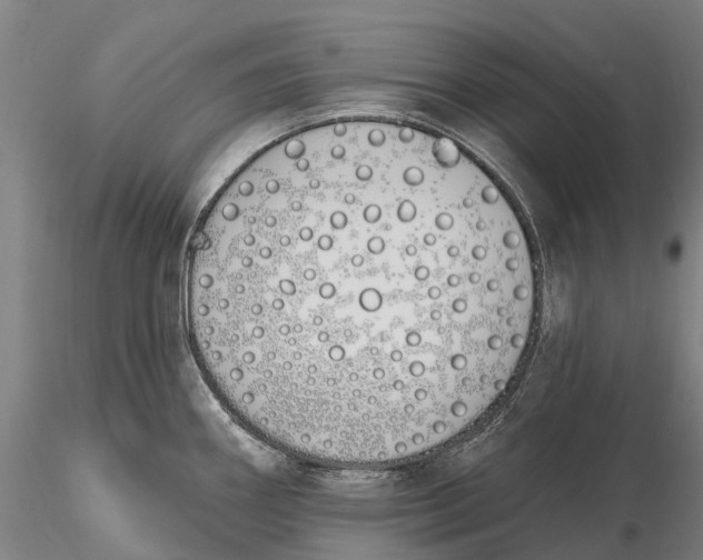 X0000115711290200912031520