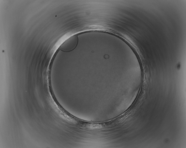 X0000115711291200912031520