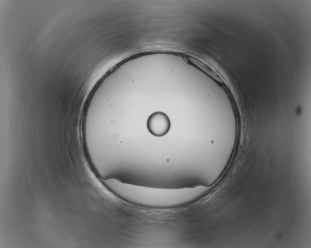 X0000115711293200912031520