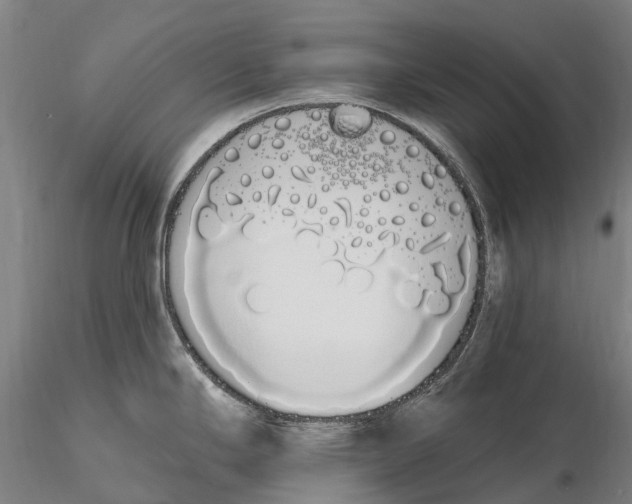 X0000115711294200912031520