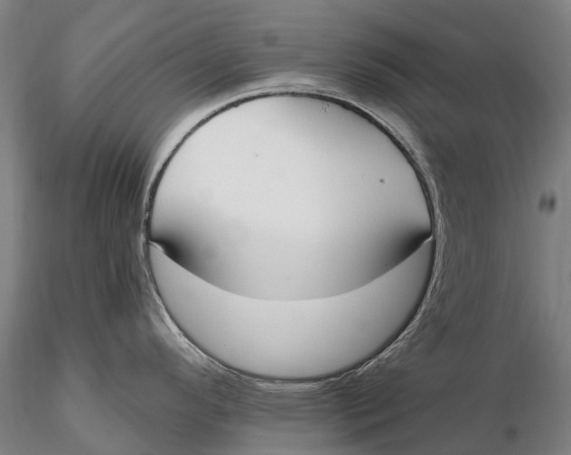 X0000115711296200912031520