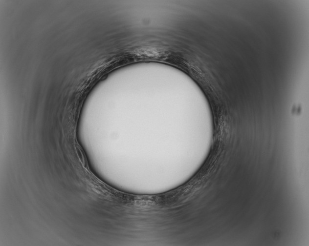 X0000115711297200912031519