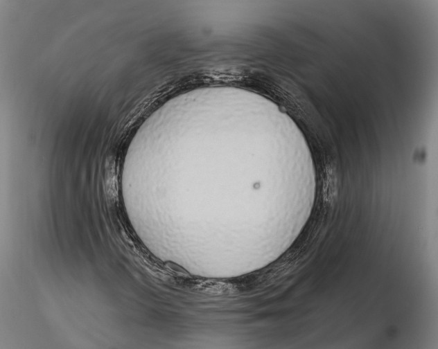 X0000115711298200912031519