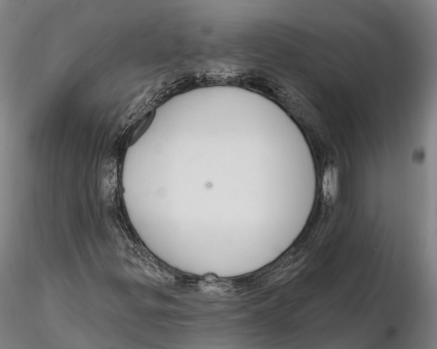 X0000115711299200912031519