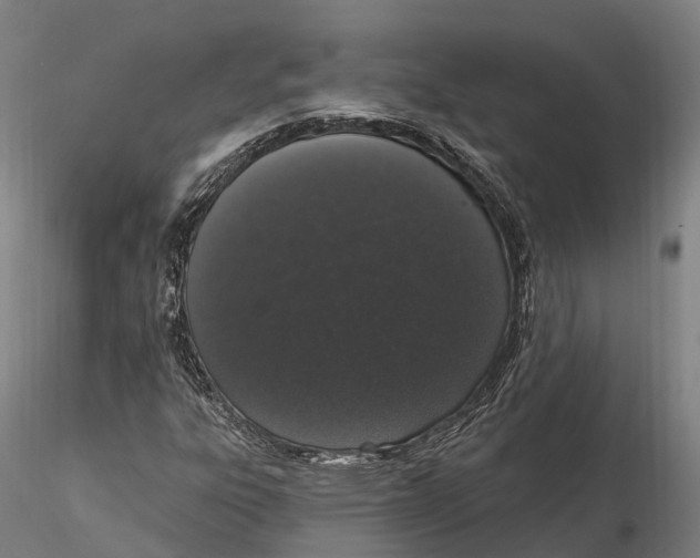 X0000115711303200912031519