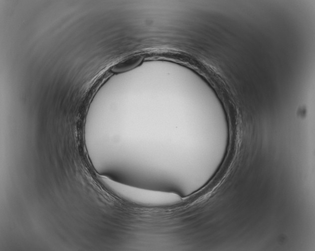 X0000115711305200912031519