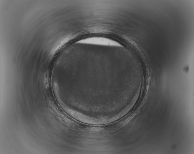 X0000115711306200912031519