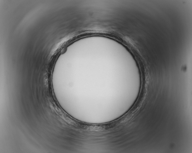 X0000115711307200912031519