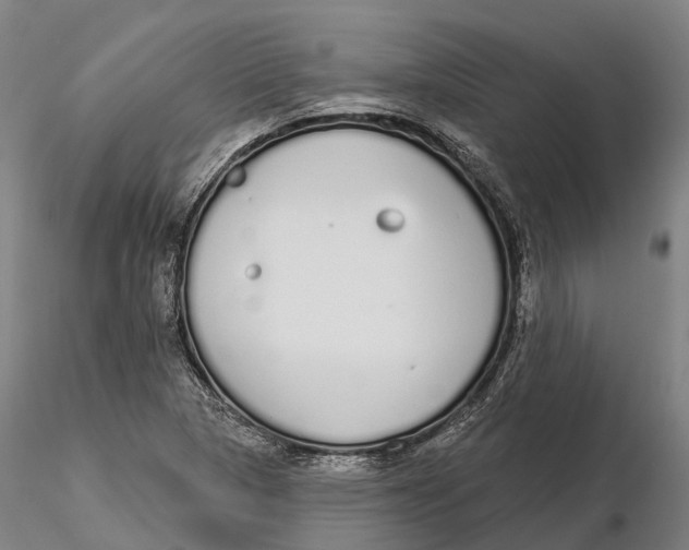 X0000115711313200912031519