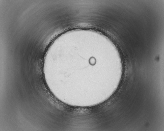 X0000115711314200912031519