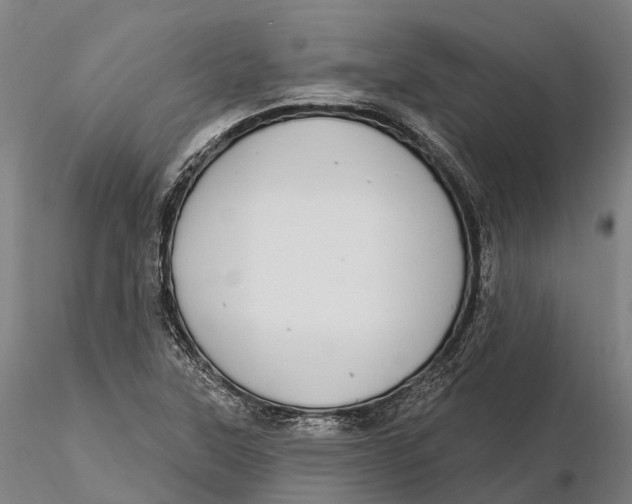 X0000115711315200912031519