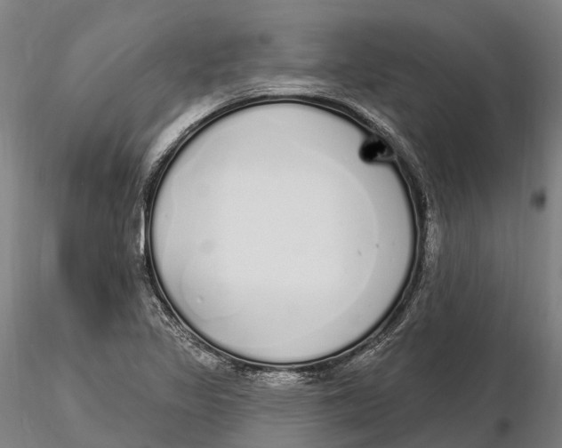 X0000115711317200912031519