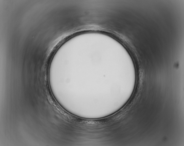 X0000115711318200912031519