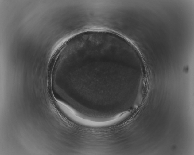 X0000115711319200912031519