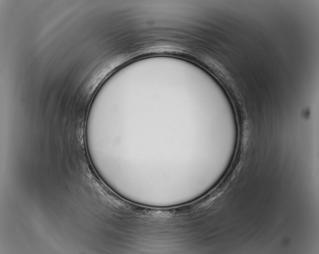 X0000115711321200912031519