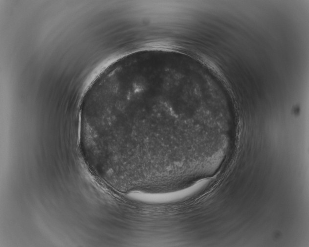 X0000115711323200912031519