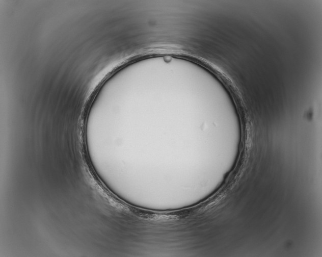 X0000115711325200912031519