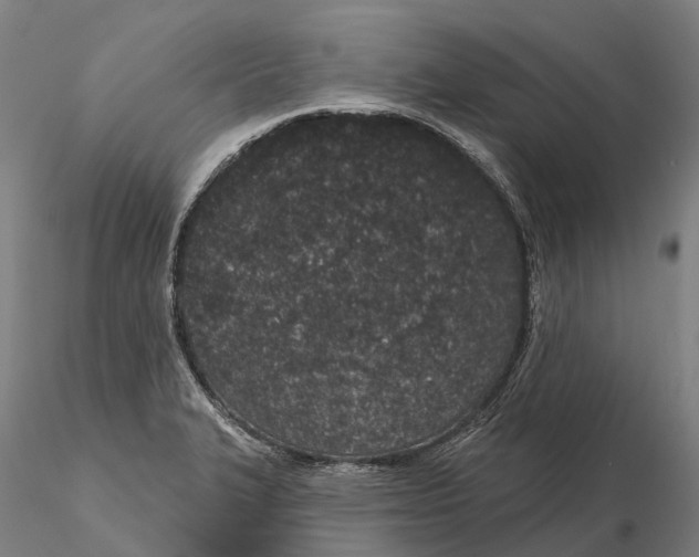 X0000115711327200912031519