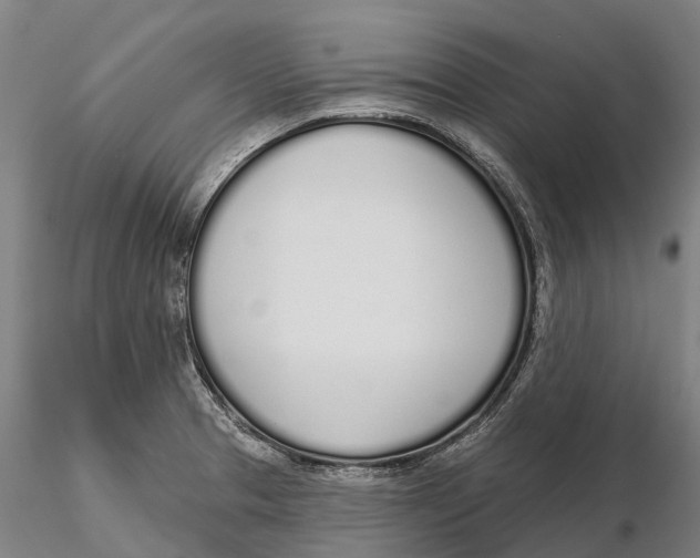 X0000115711329200912031519