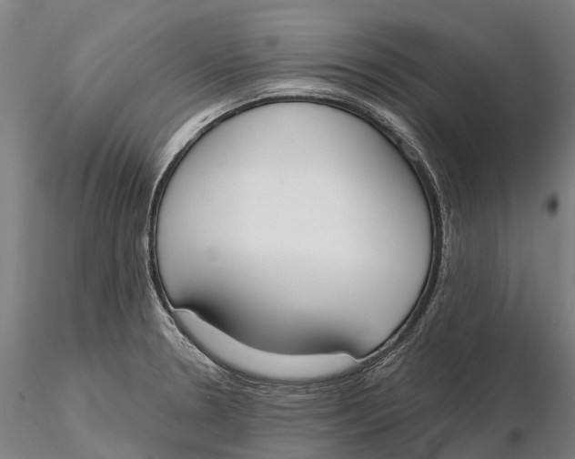 X0000115711330200912031519