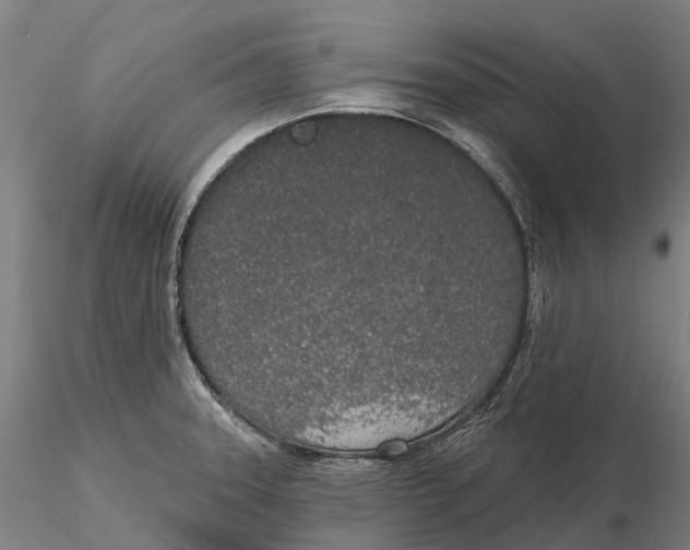 X0000115711331200912031519