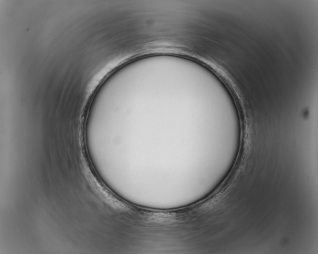 X0000115711333200912031519