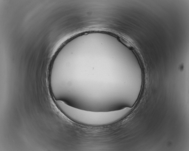 X0000115711334200912031519