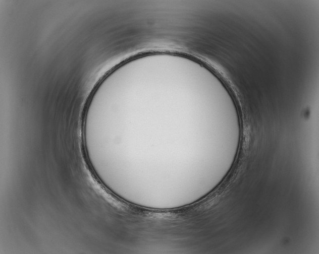 X0000115711335200912031519