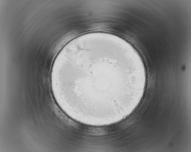 X0000115711338200912031519