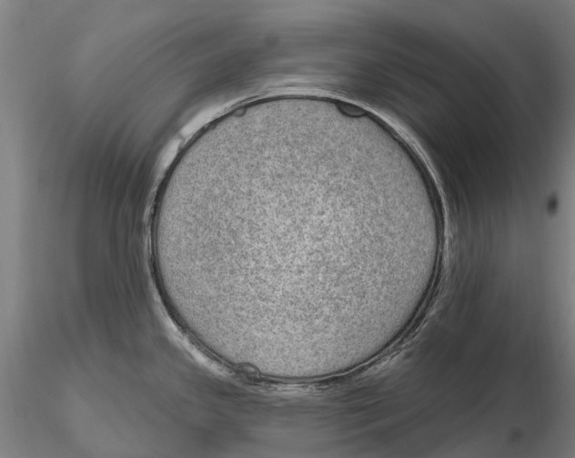 X0000115711341200912031520