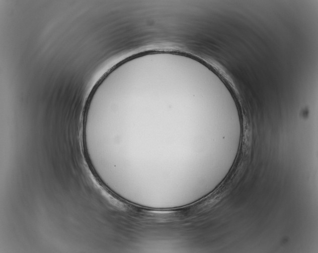 X0000115711343200912031520