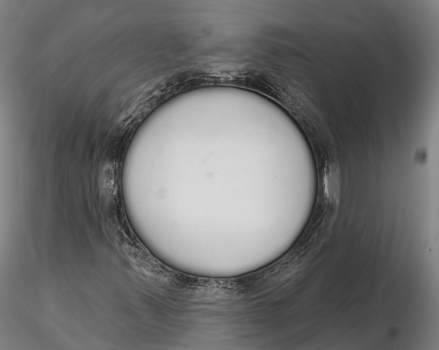 X0000115711347200912031519