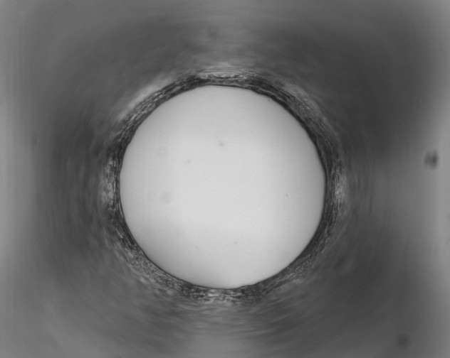 X0000115711350200912031519