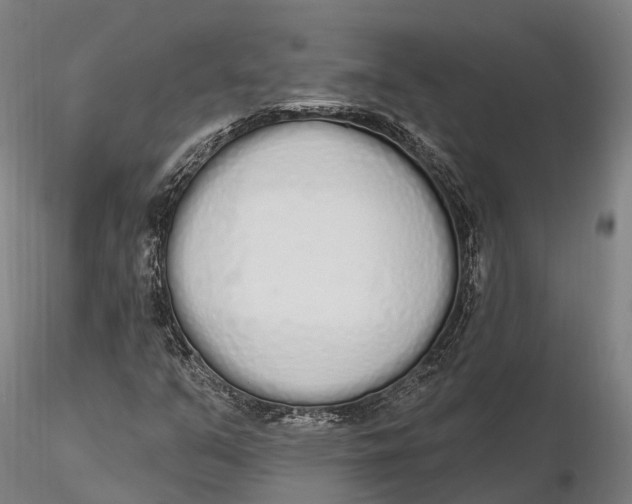 X0000115711351200912031519