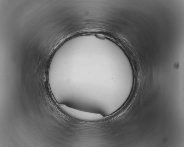 X0000115711353200912031519