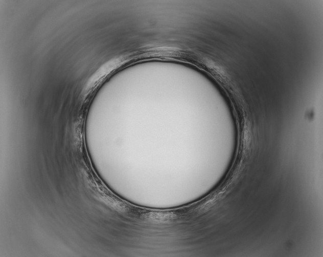 X0000115711354200912031519