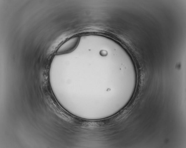 X0000115711355200912031519