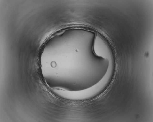 X0000115711357200912031519