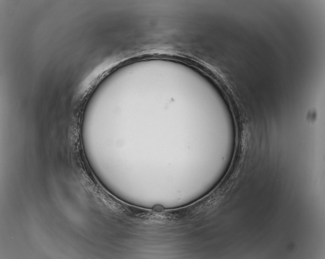 X0000115711359200912031519