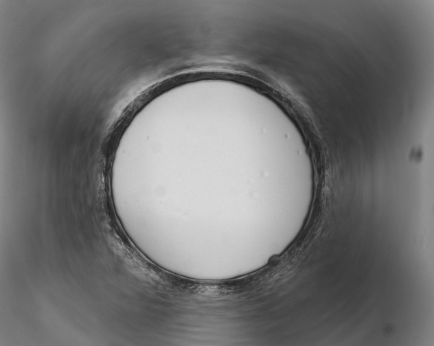 X0000115711360200912031519